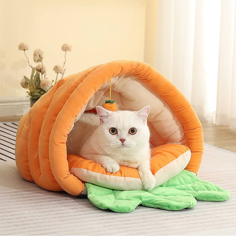 Pet Essentials