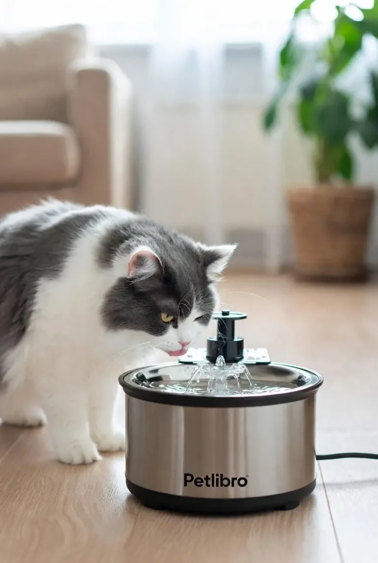 cat water fountain