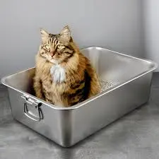 Stainless Steel Litter Box | The Complete Guide for Cat Owners