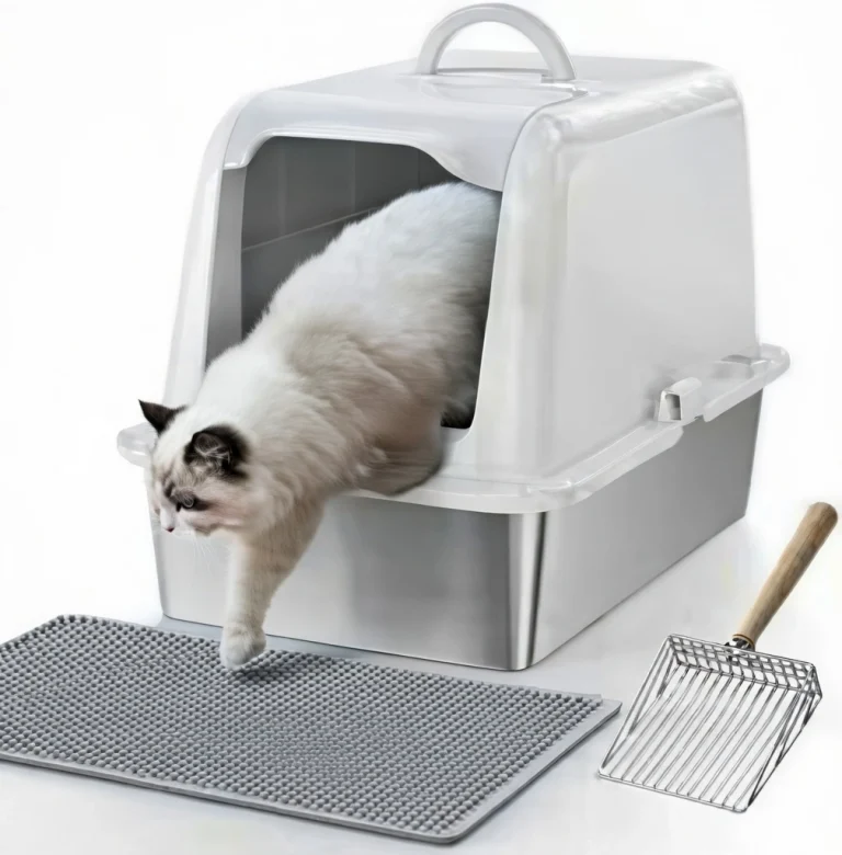 Best Covered Option: Stainless Steel Cat Litter Box with Lid