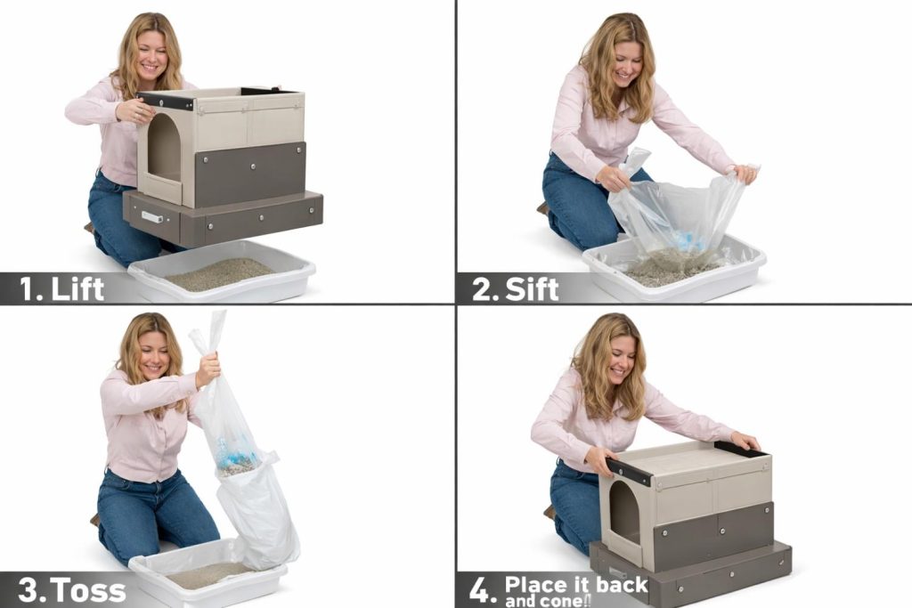 Best cat litter