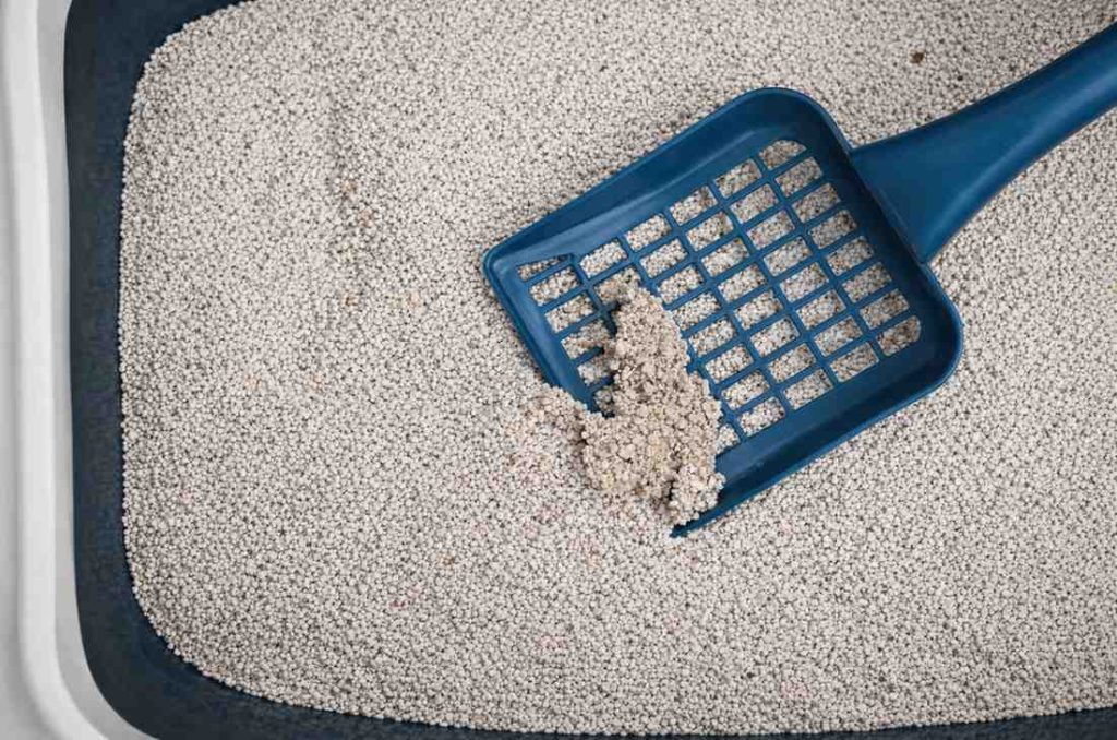 Cat Litter Box 