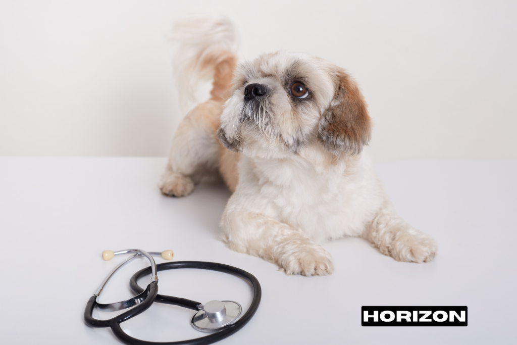 Pet Connection Veterinary