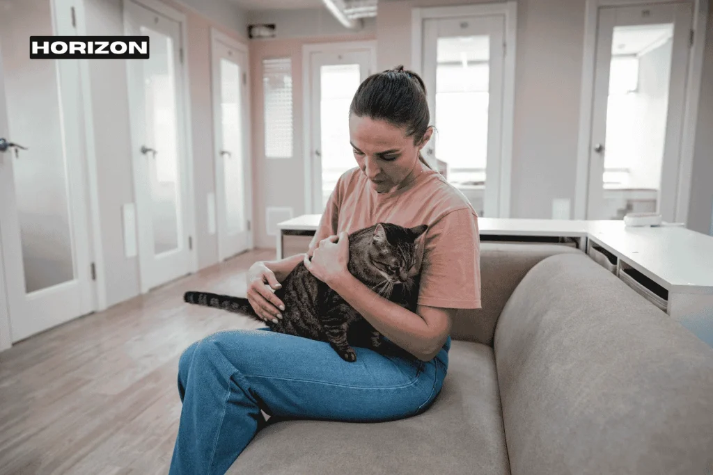 cat sitter dubai