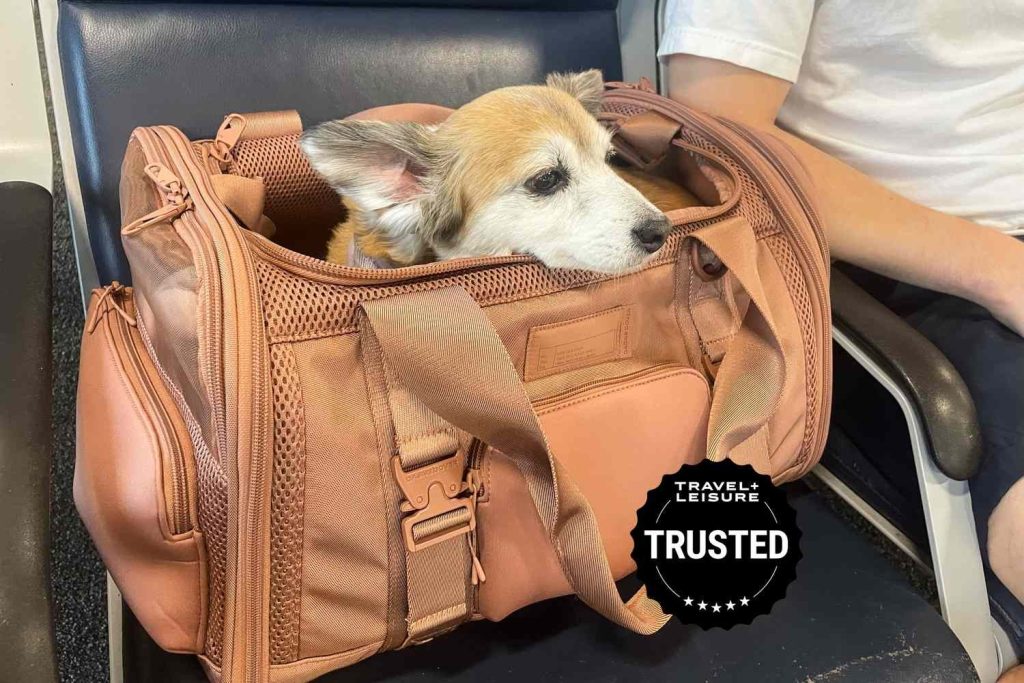 Pet Carrier