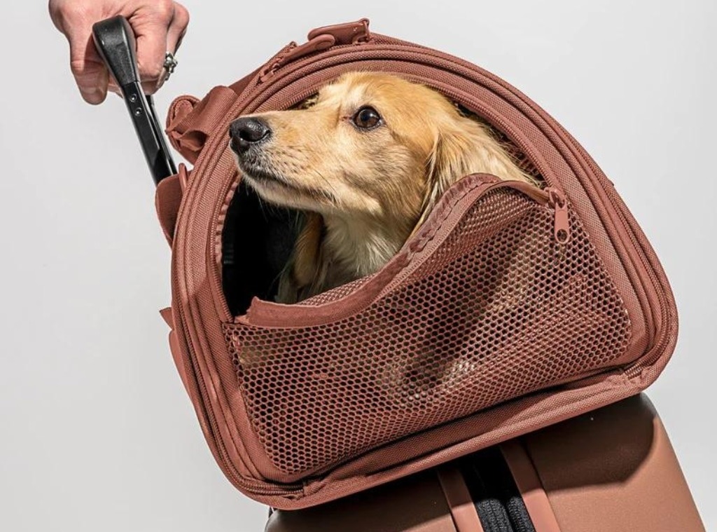 best dog airline approved
