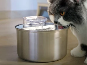 Best Stainless Steel Cat Water Fountain Benefits  
