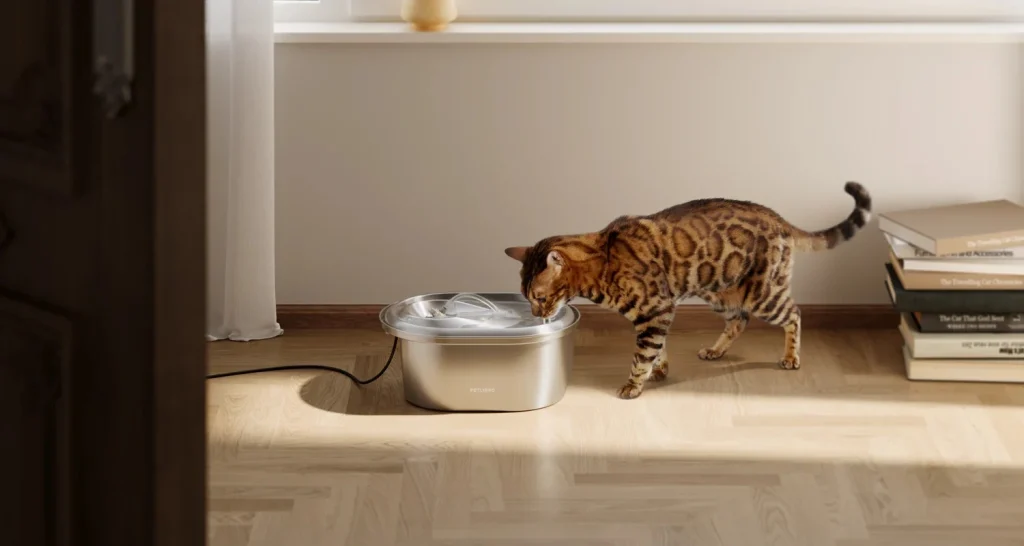 How to Clean and Maintain Your Stainless Steel Cat Fountain