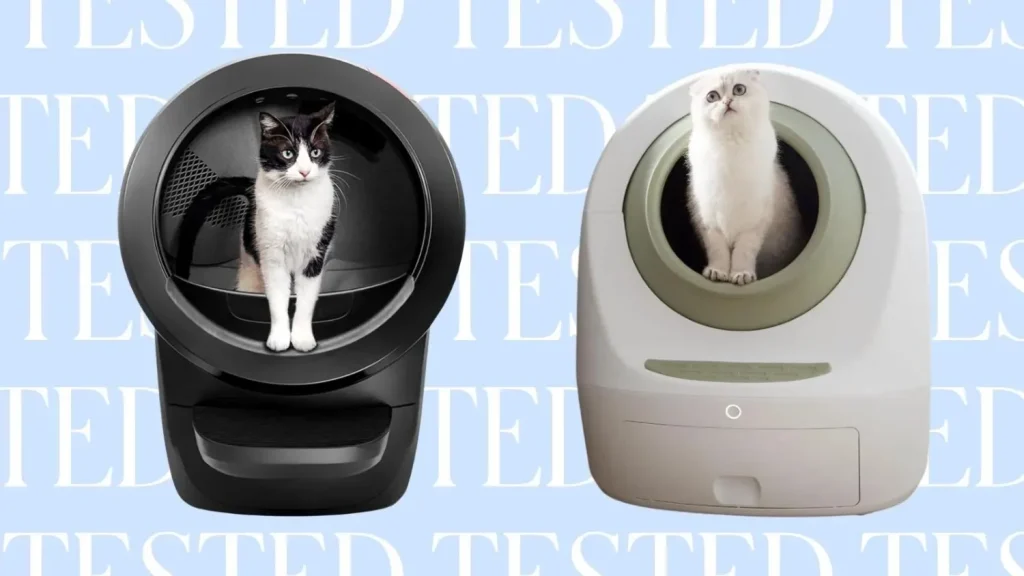 Litter Box Cleaning and Hygiene