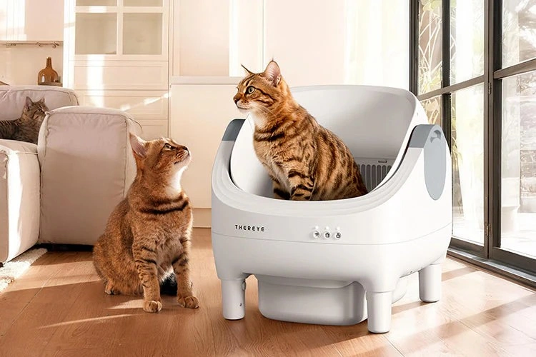 Tips for Choosing the Right Litter Box for Indoor Cats