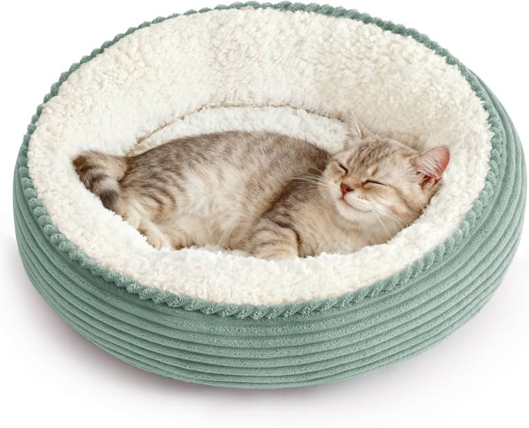 Best sleeping bag for cats